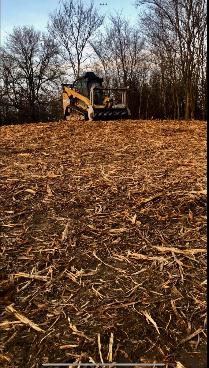 Professional Forestry Mulching & Brush Grinding in Texas