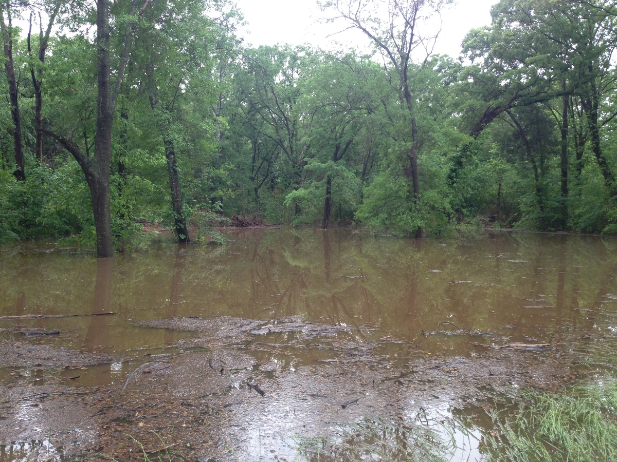 Waterfowl Impoundments