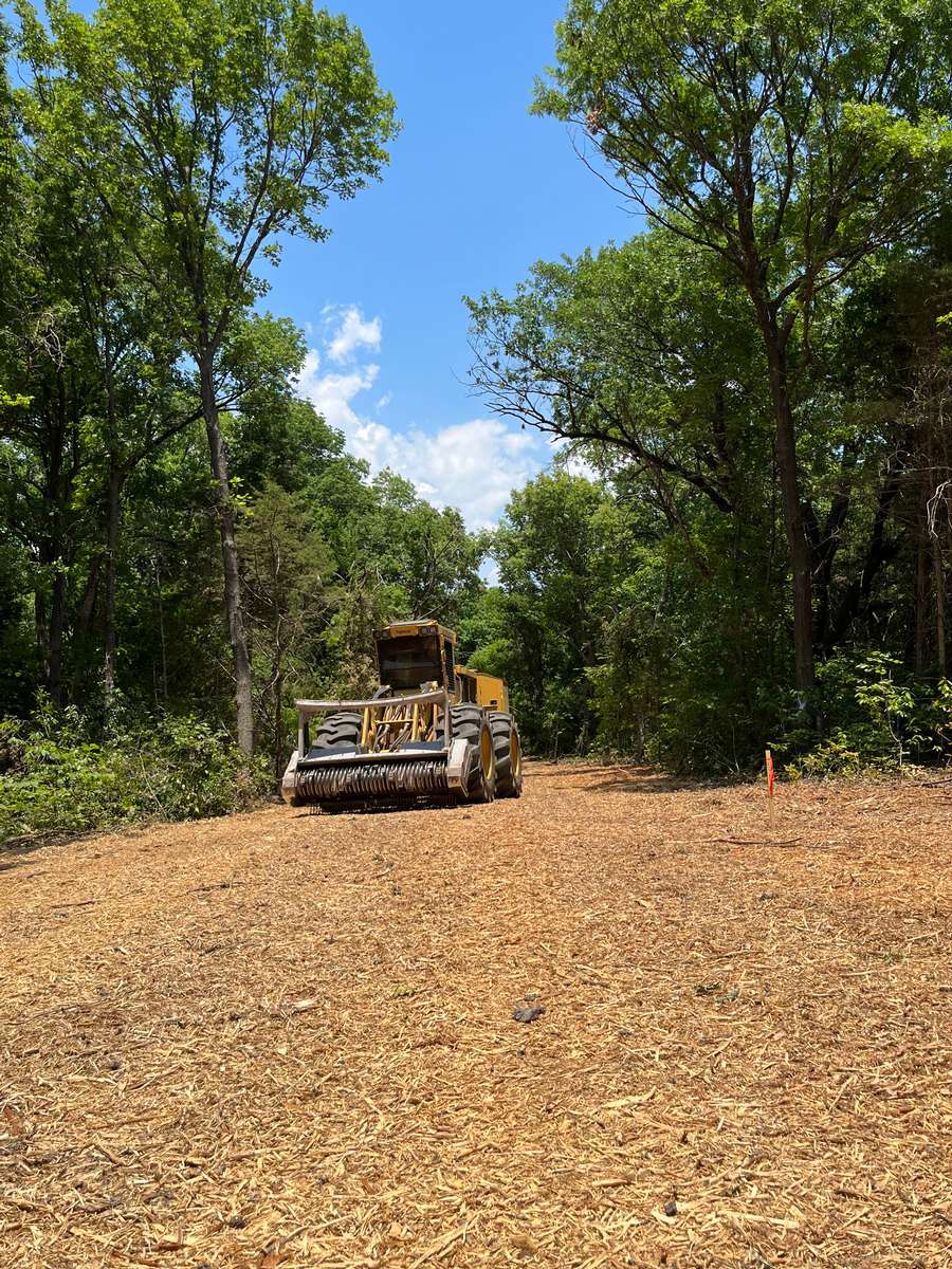 Forestry Mulching